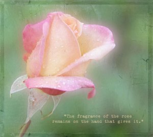 The-Fragrance-of-the-Rose-Bonus-Video-Piece