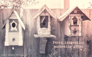 Perch-Long