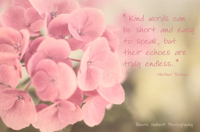 H-_Kim-Klaussen-Classes_Beyond-Beyond-Class_Class-Assignments_dAY-23-_Kind-Words-copy