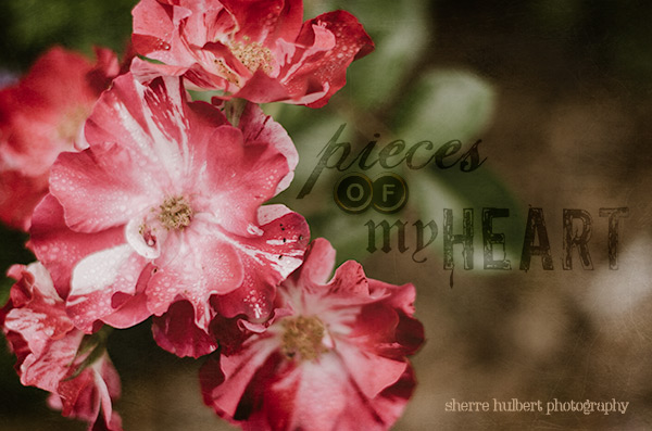 Texture-Tuesday-July-15-copy