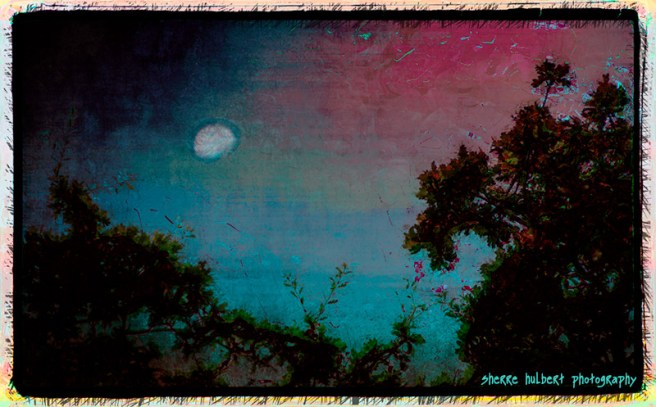 Early-Morning-Moon-1