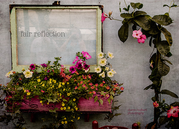 Reflection-at-Fair-copy