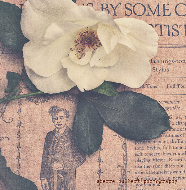 Sunday-Morning-Photo-shoot-copy