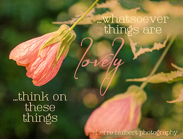 Whatsoever-things-are-lovley-copy