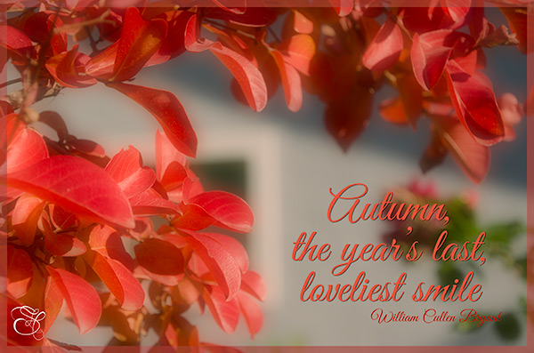 Autumn,-the-year's-last-loveliest-smile-copy