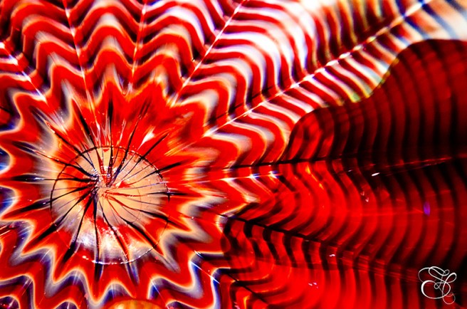 Ceiling-Close-up-copy