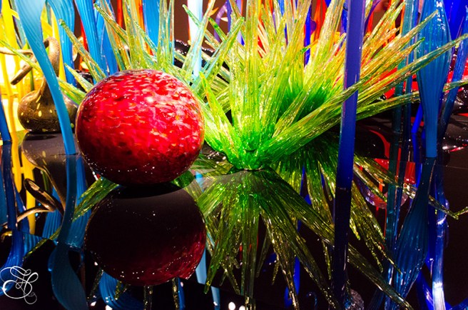 Chihuly-Reflection-2-copy