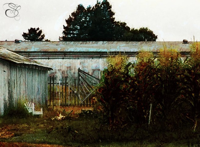 Cornell-Barn-Artomatic-Filter