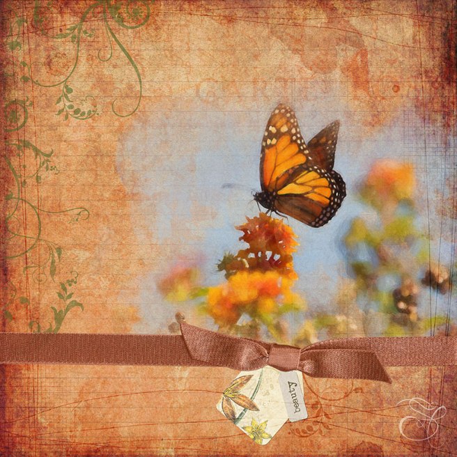 Monarch-Watercolor-Effect-Practice-copy