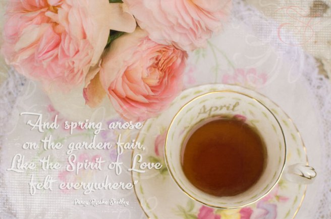 And-Spring-Arose-copy