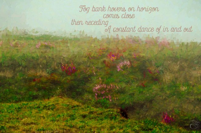 Coastal-Bckgrd-1-copy