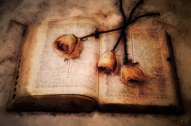 Roses-and-Words-copy