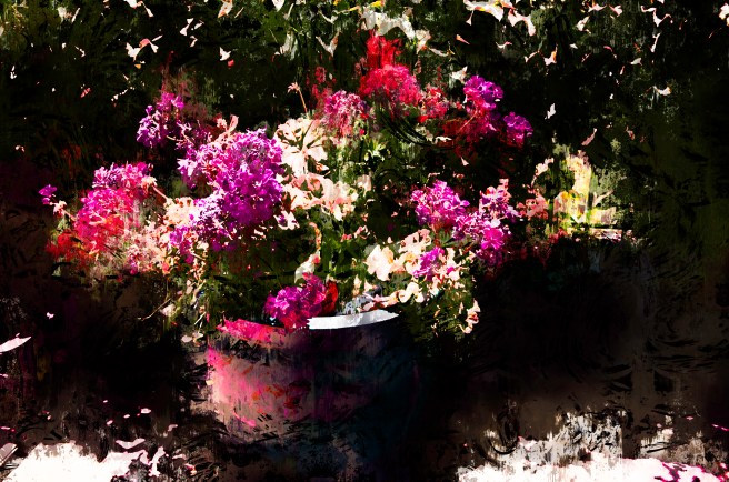 Kuleto Geranium  version2 copy