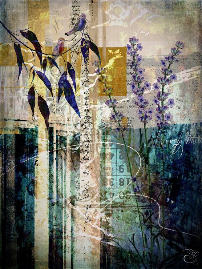 7 19 experimental copy.jpg