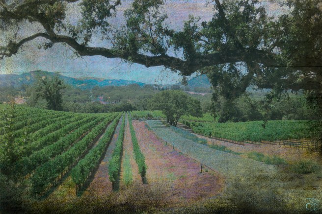 Hanna Winery copy.jpg