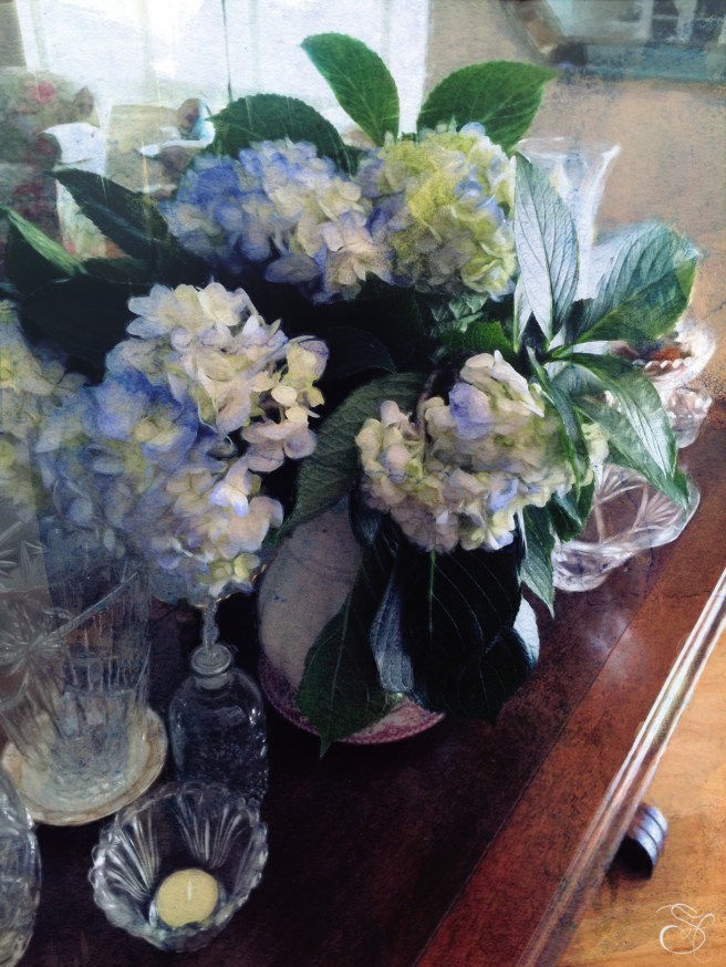 Hydrangea Play copy.jpg