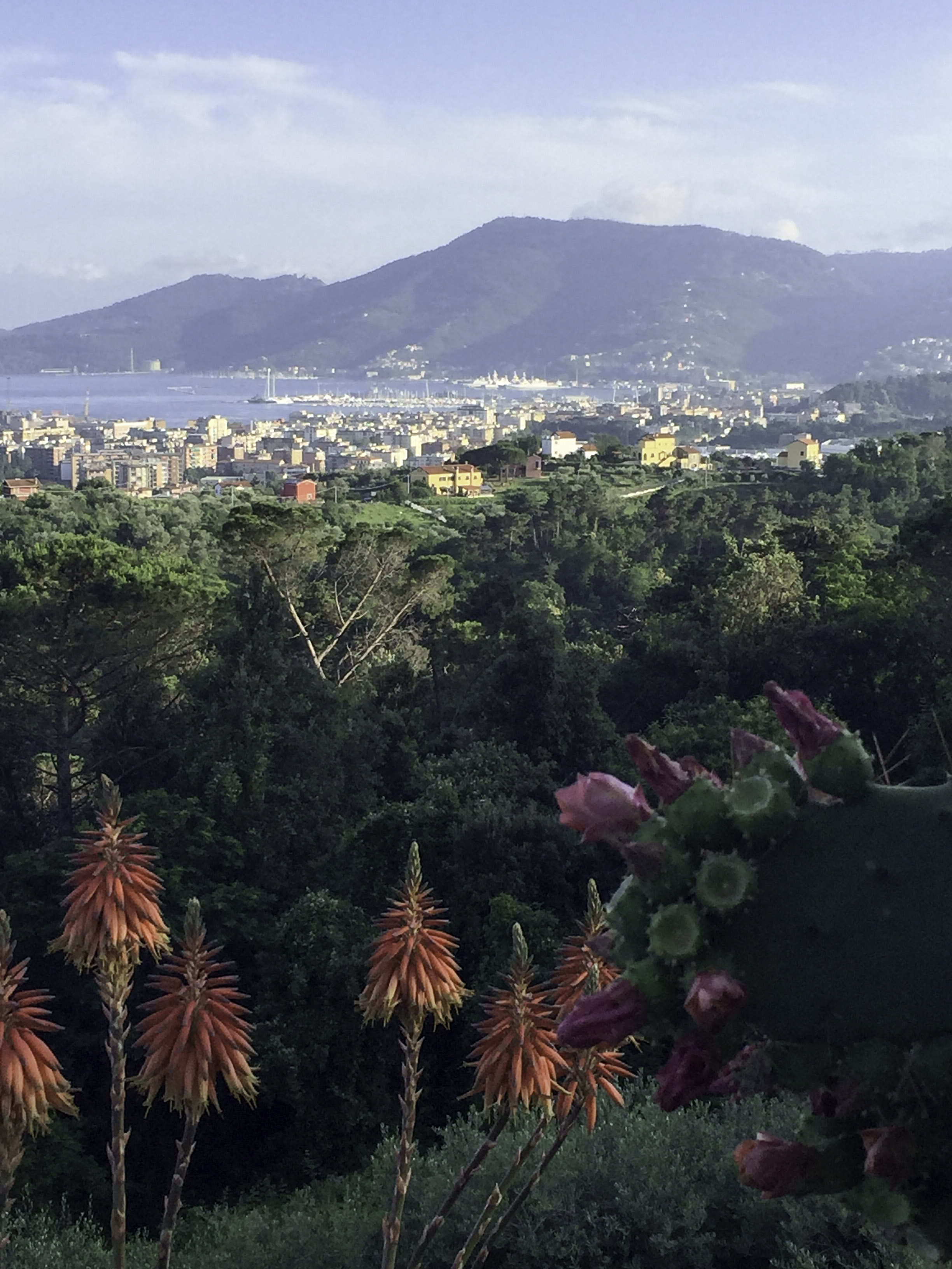 Villa Amaranta View.jpg