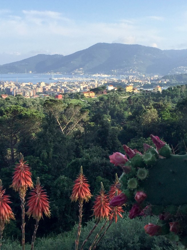 Villa Amaranta View.jpg