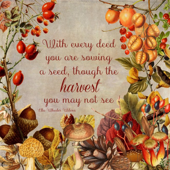 daily-graces-15-copy