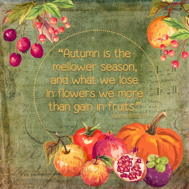 Daily Graces 5 copy.jpg