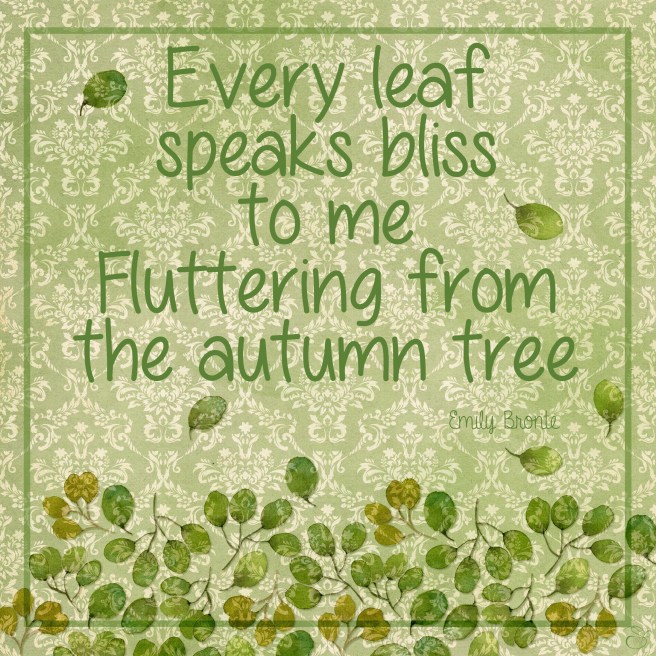 Daily Graces #43 copy.jpg