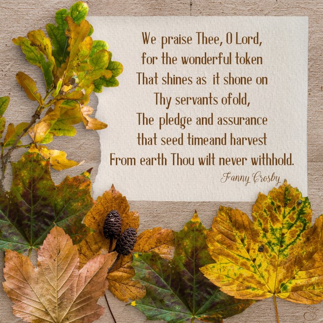 Daily Graces #57 copy.jpg