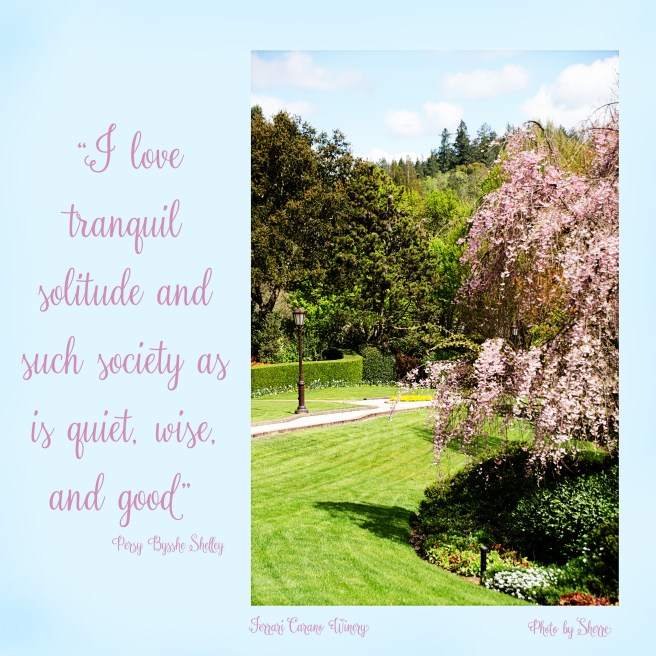 Daily Graces #182 copy.jpg