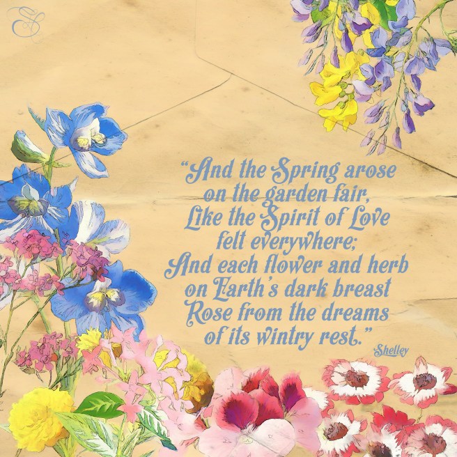 Daily Graces #195 copy.jpg