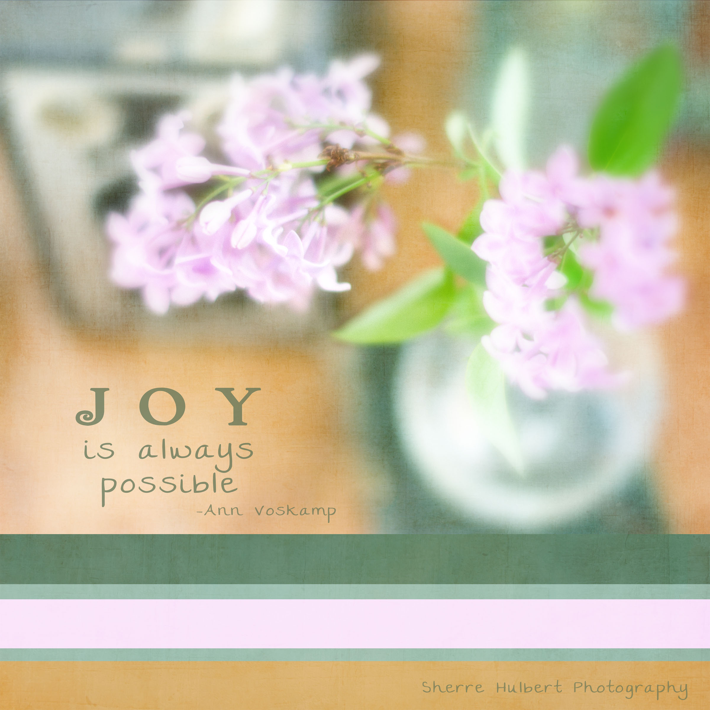 Daily Graces #204.jpg