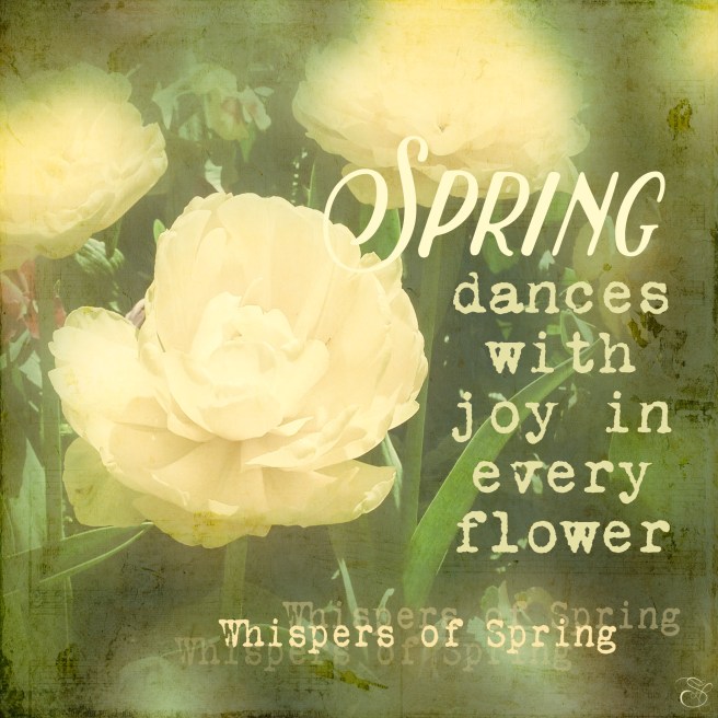 Daily Graces #205 copy.jpg