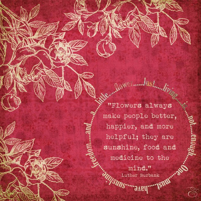 Daily Graces #214 copy.jpg