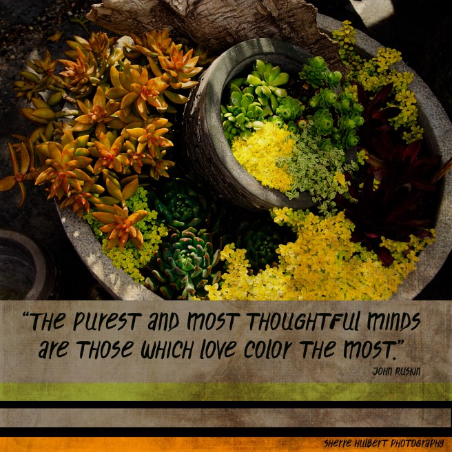 Daily Graces #218 copy.jpg