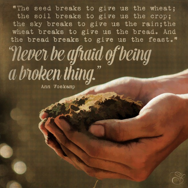 Daily Graces #223 copy.jpg