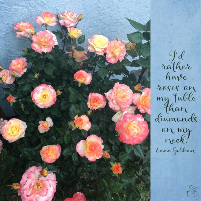 Daily Graces #225 copy.jpg