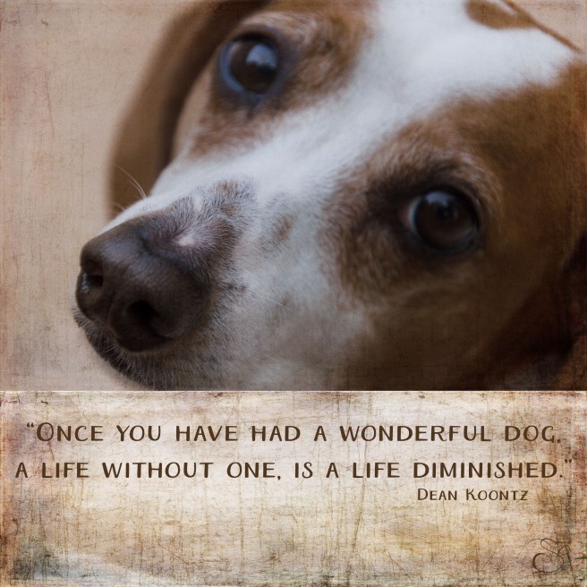 Daily Graces #230 copy.jpg