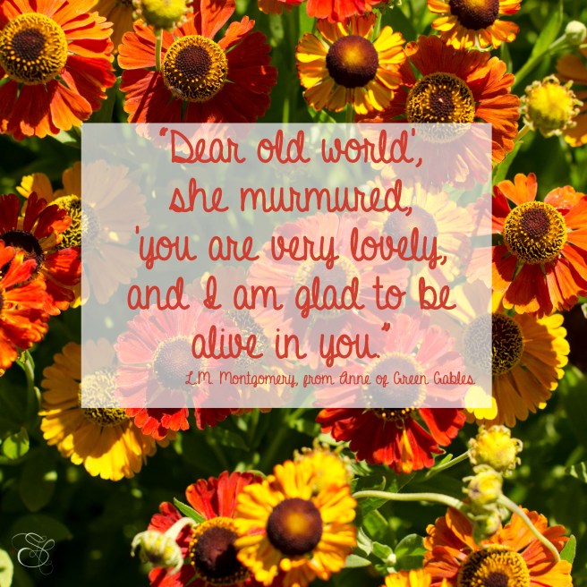 Daily Graces #263 copy.jpg