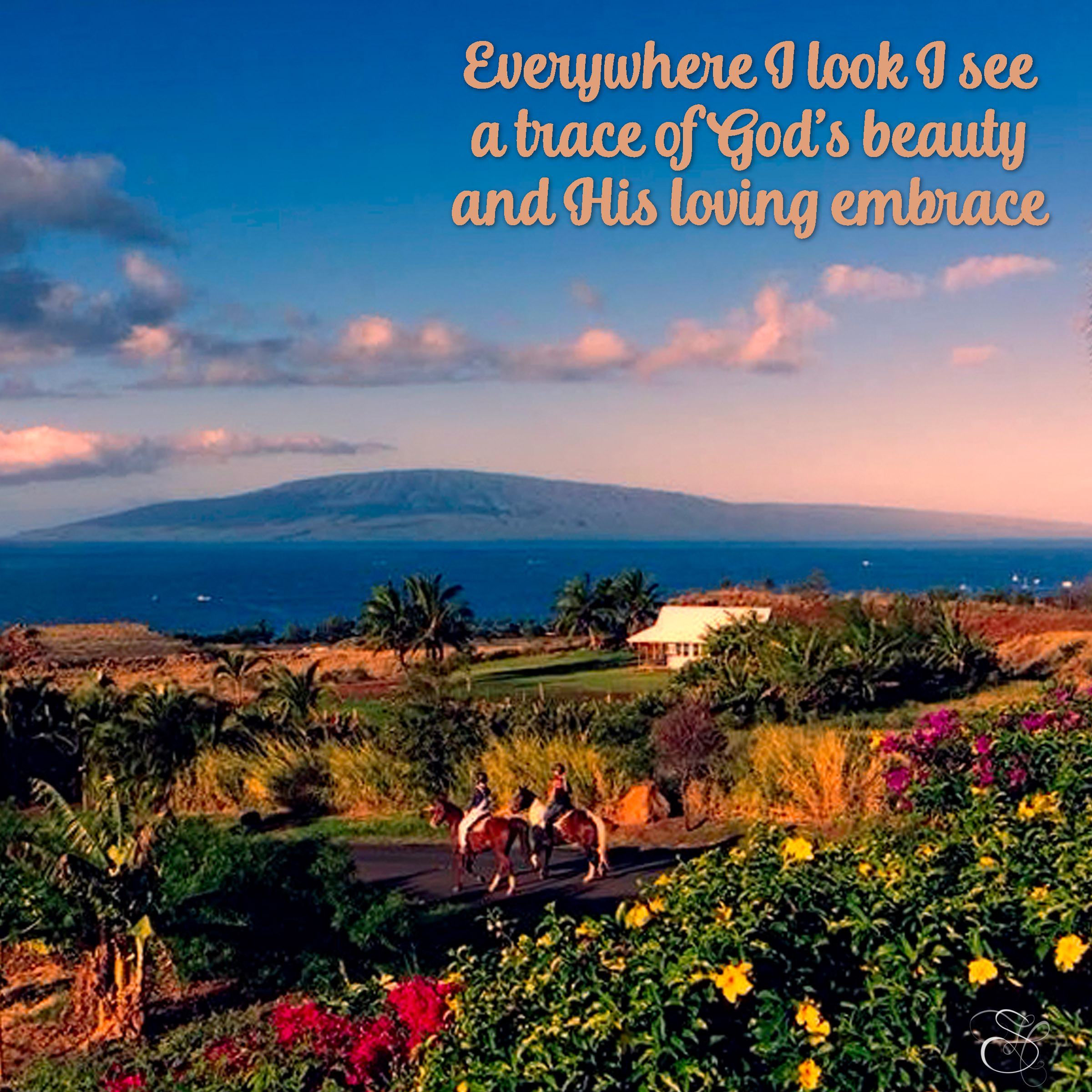 Daily Graces #269 copy.jpg