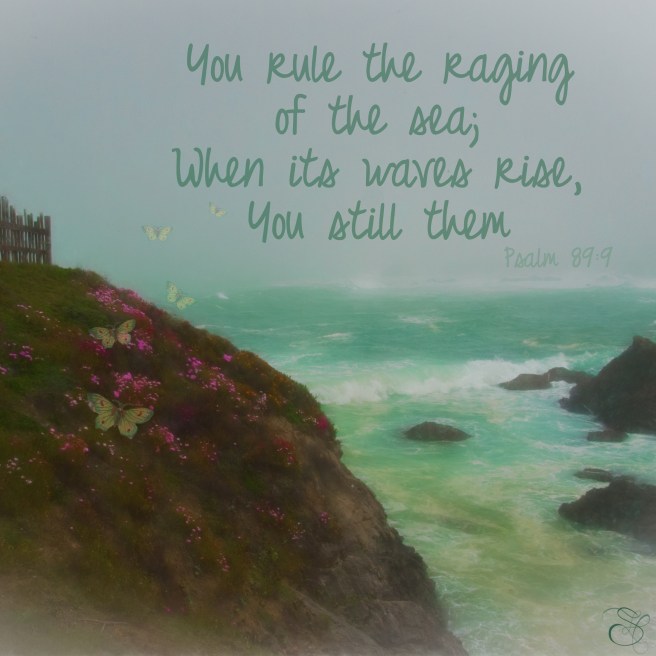 Daily Graces #273 copy.jpg