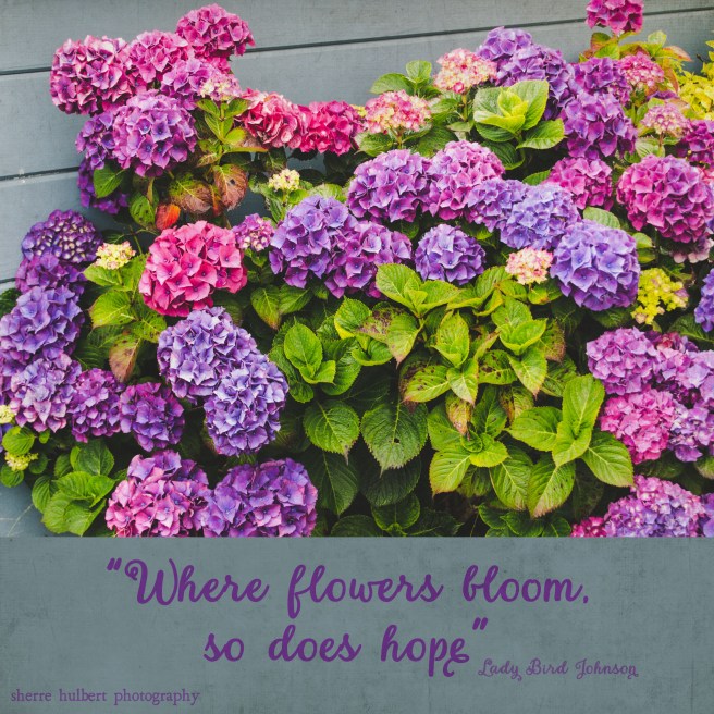 Daily Graces #276 copy.jpg