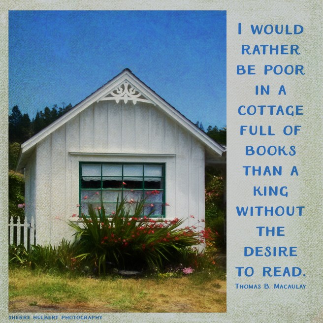 Daily Graces #278 copy.jpg