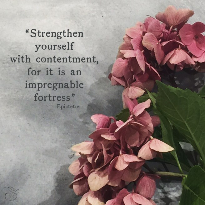 Daily Graces #287 copy.jpg