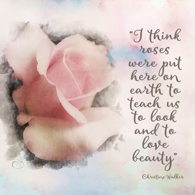 Daily Graces #290 copy.jpg