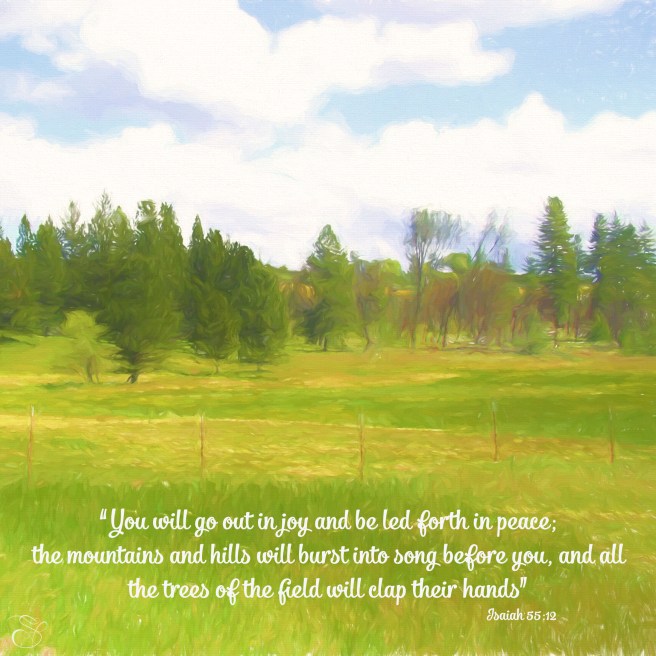 Daily Graces #294 copy.jpg