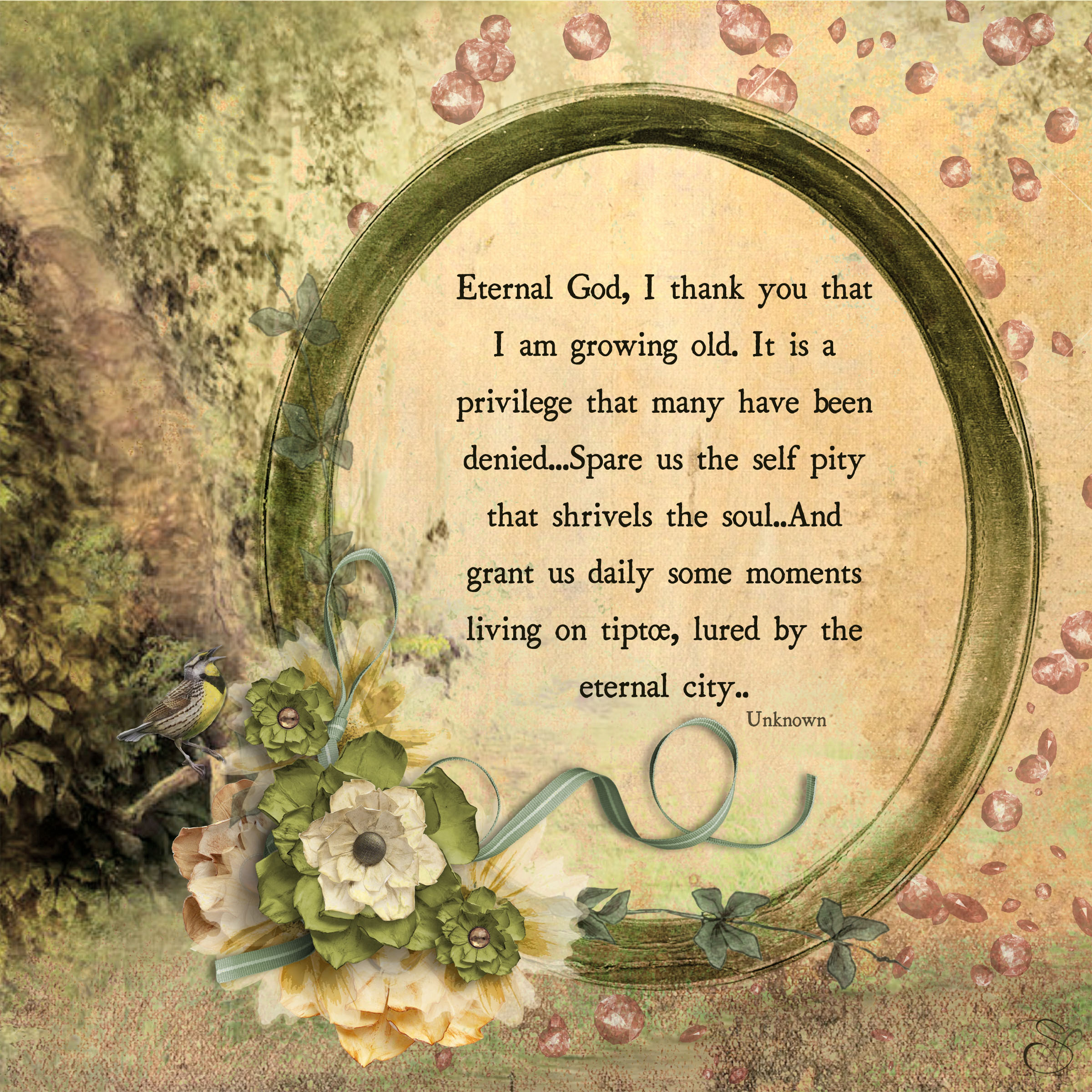 Daily Graces #313 copy.jpg