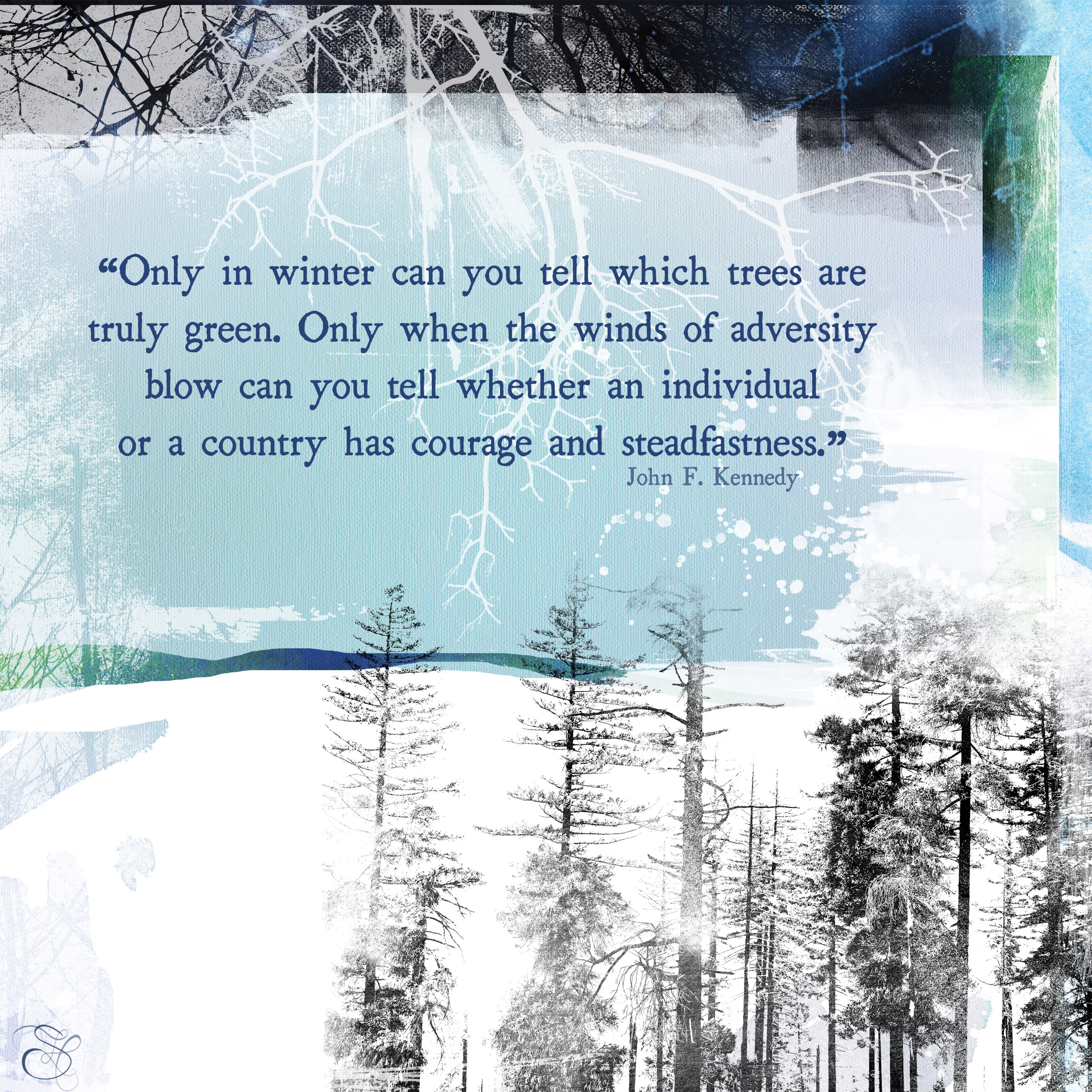 Daily Graces #331 copy.jpg