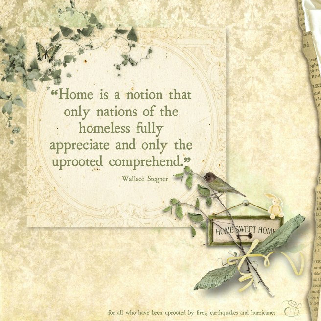 Daily Graces #341 copy.jpg