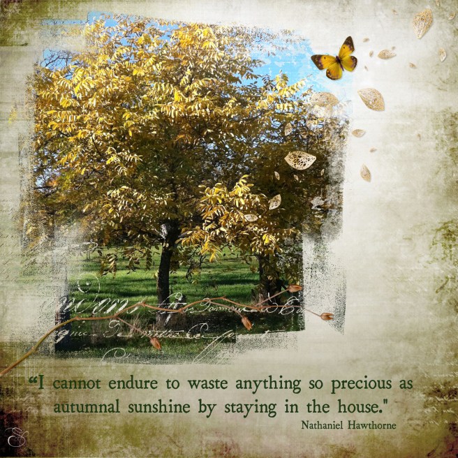 Daily Graces #342 copy