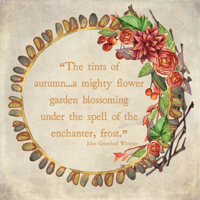 Daily Graces #351 copy