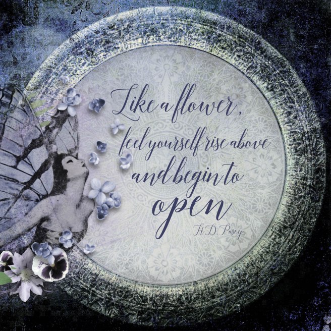 DG Return #22 copy.jpg