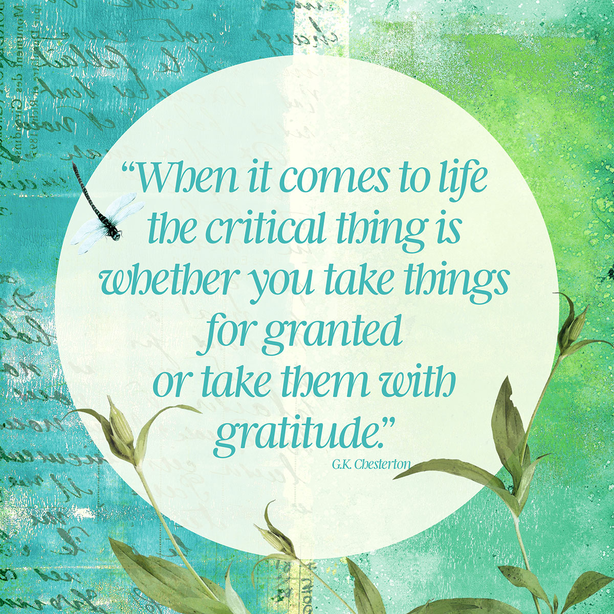 DG Return #24 copy.jpg